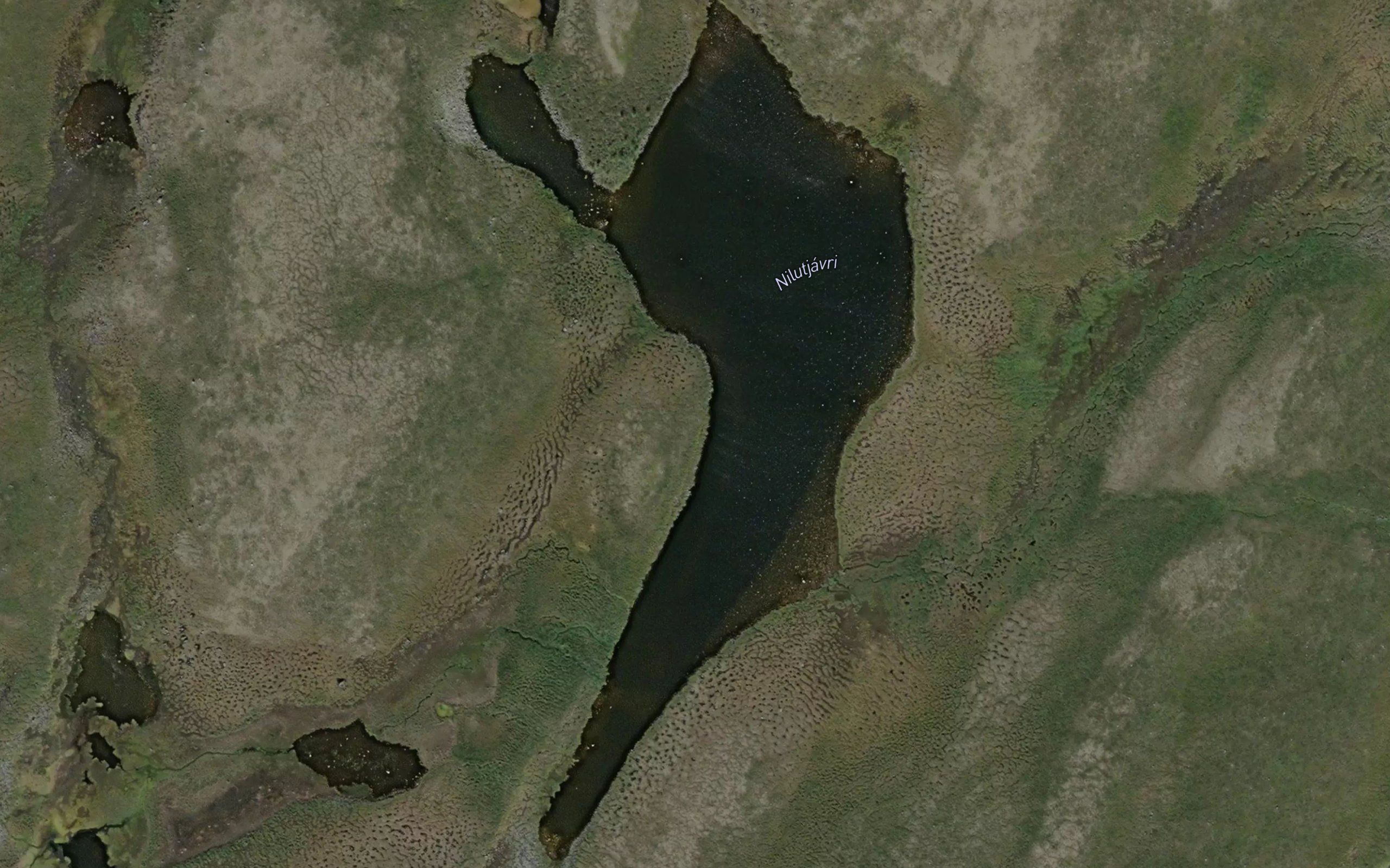 Nilotjavri