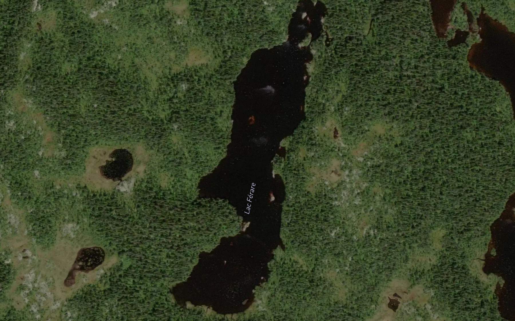 Satellite map of the Lac Filiot