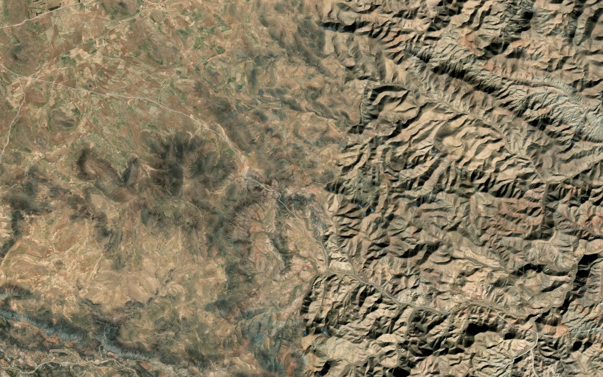 Cheshmeh-ye Tak Derakht