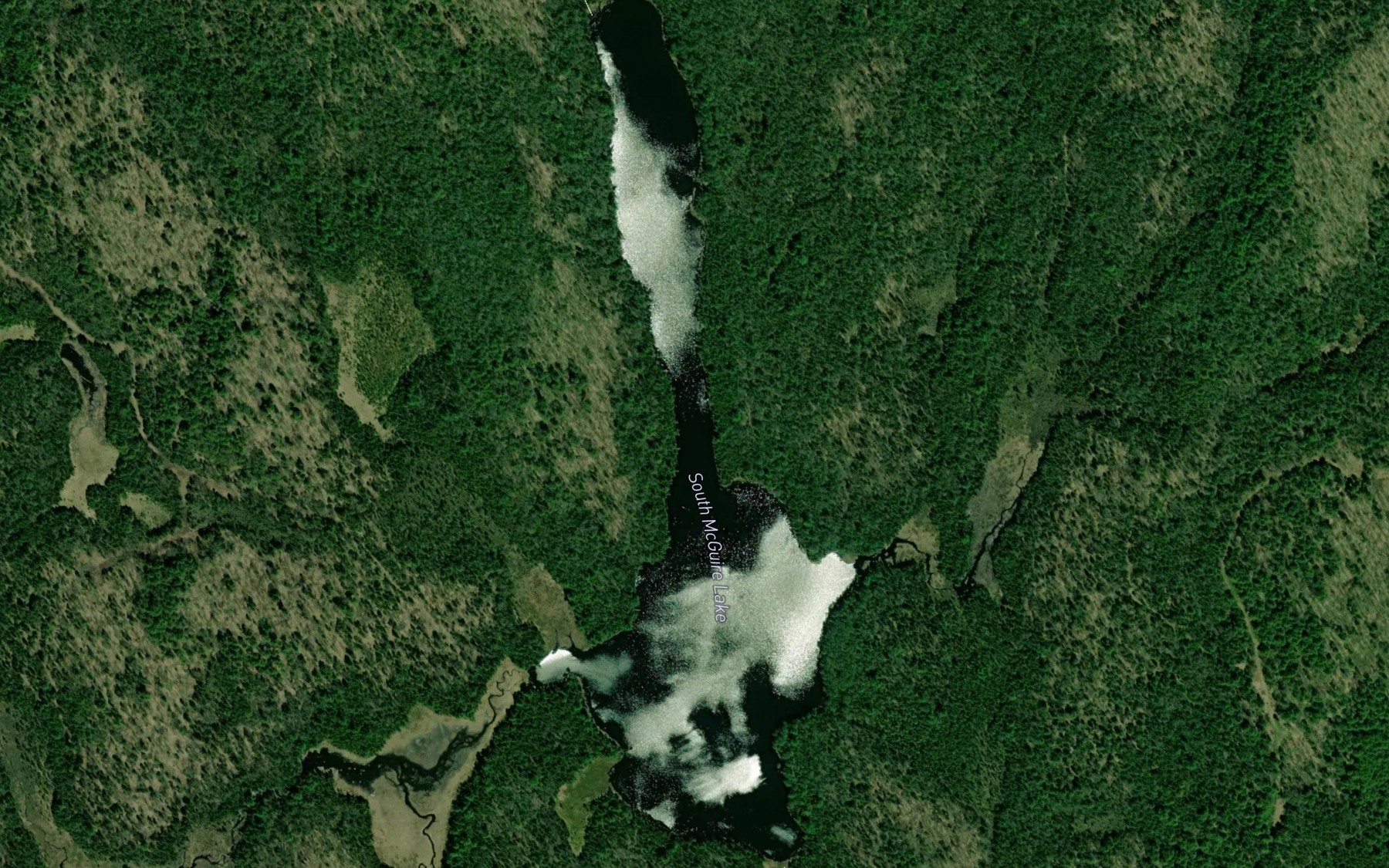 Satellite map of the South McGuire Lake