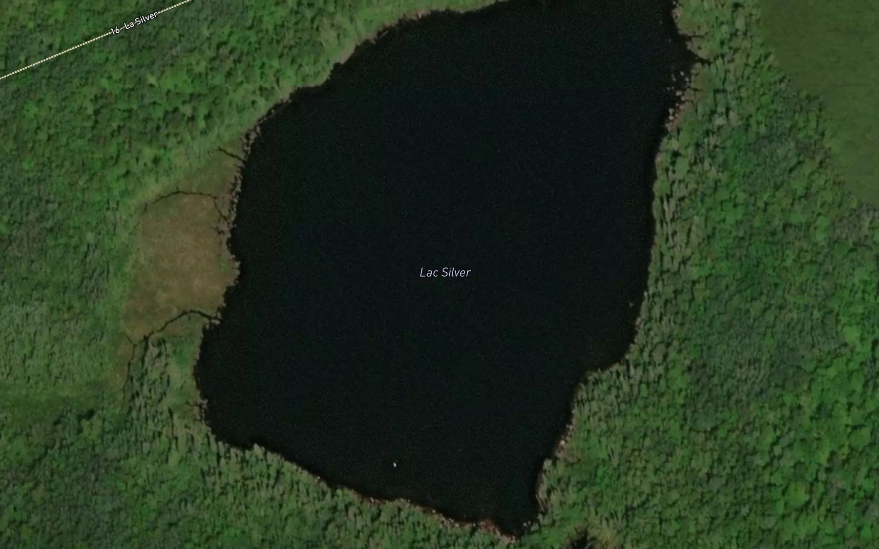 Satellite map of the Lac Silver