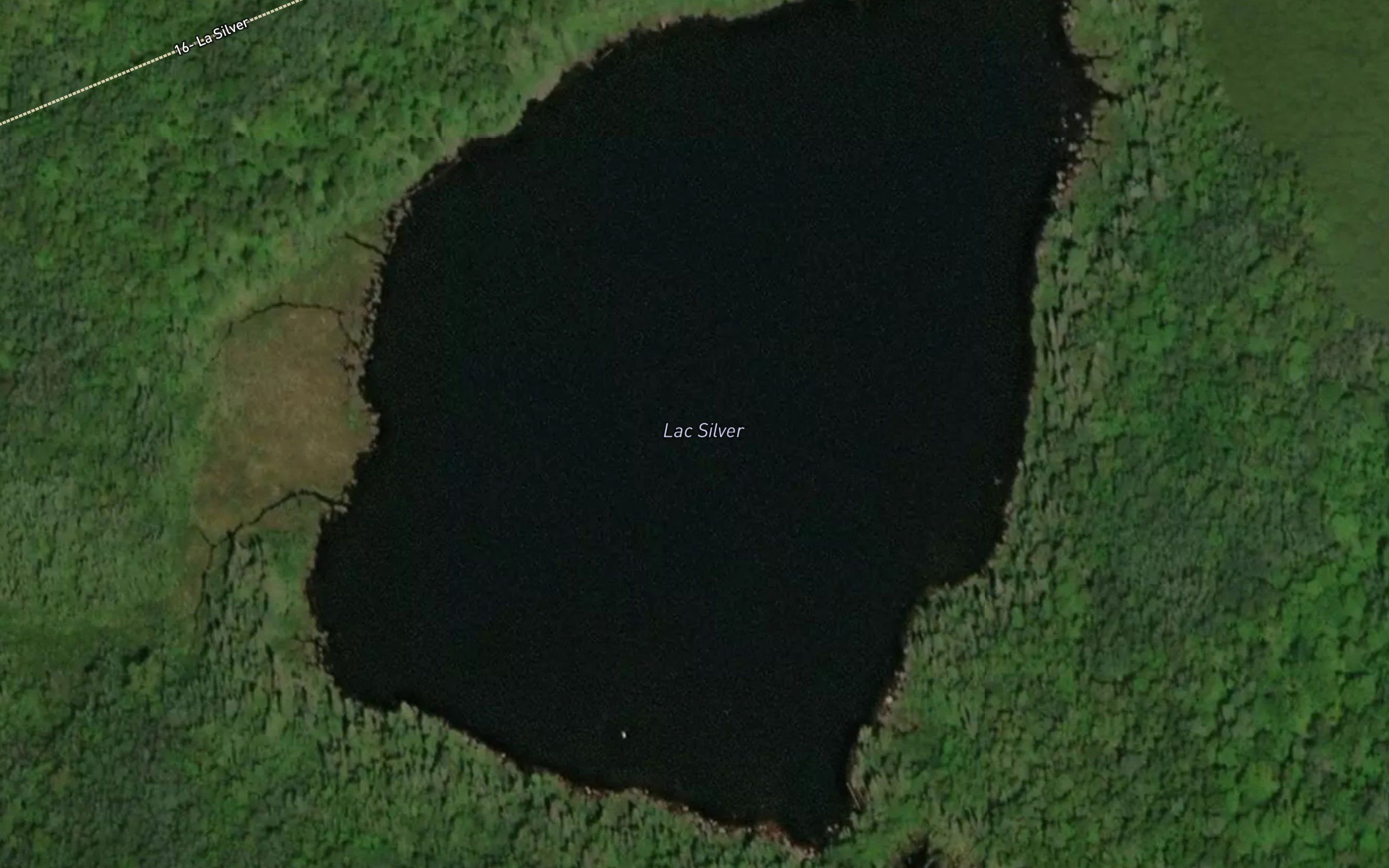 Lac Silver
