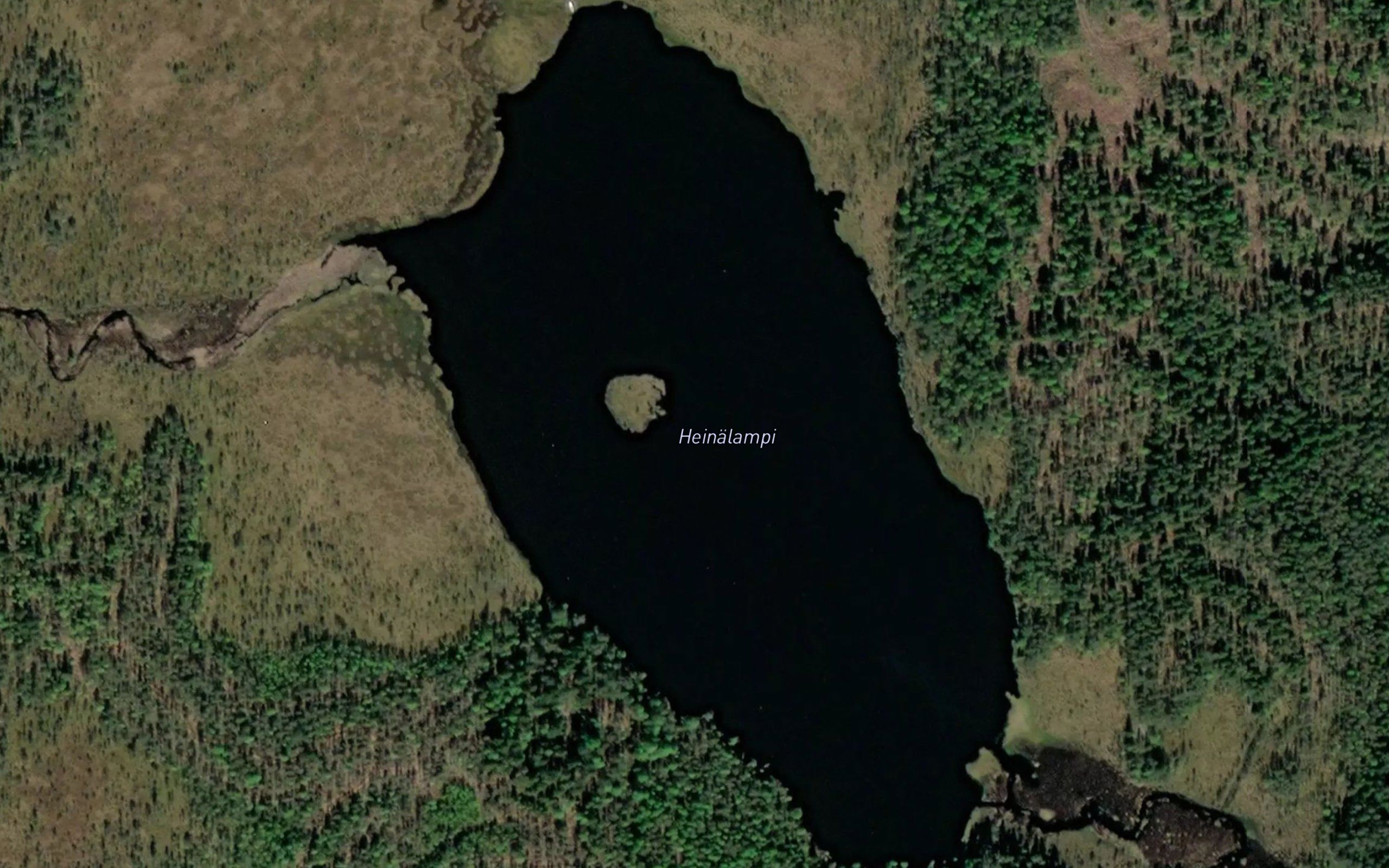 Heinalampi
