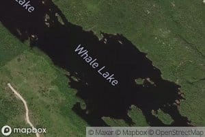 Whale Lake