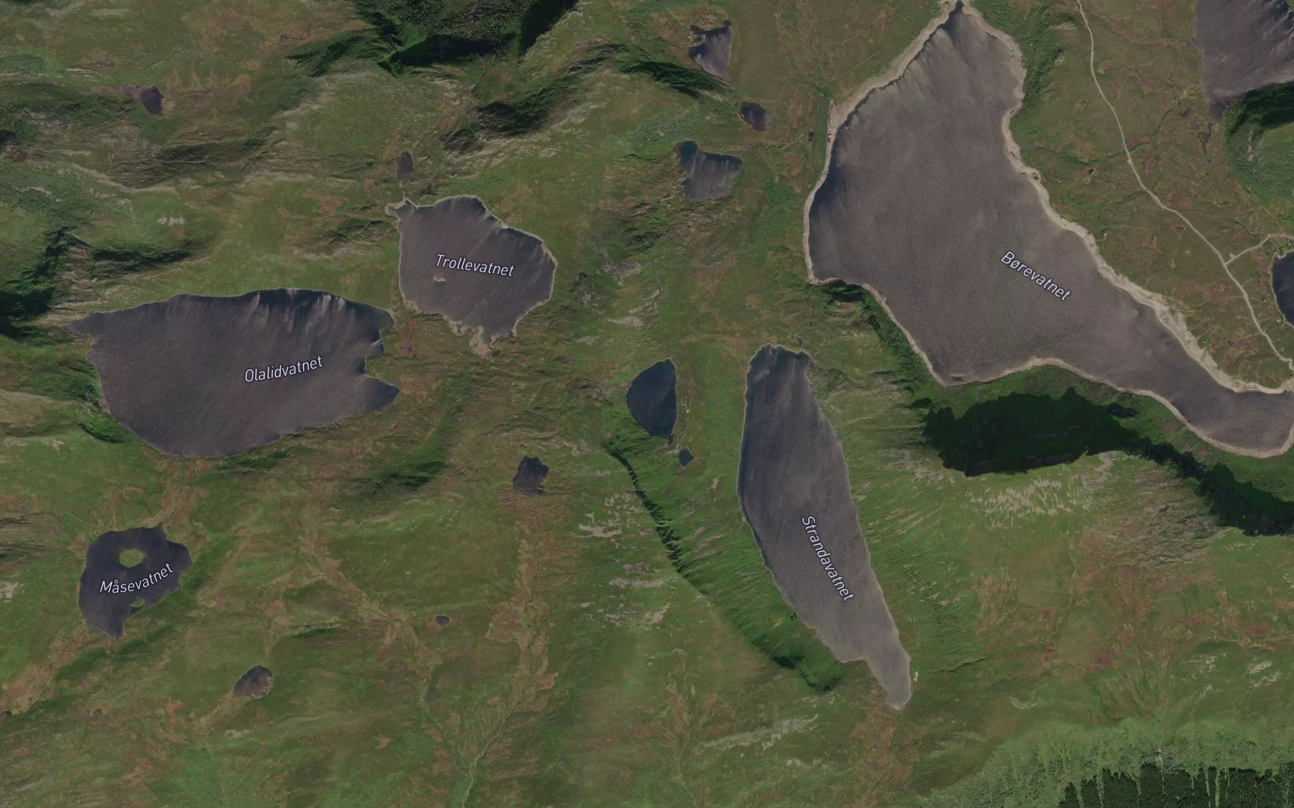 Haugevatnet