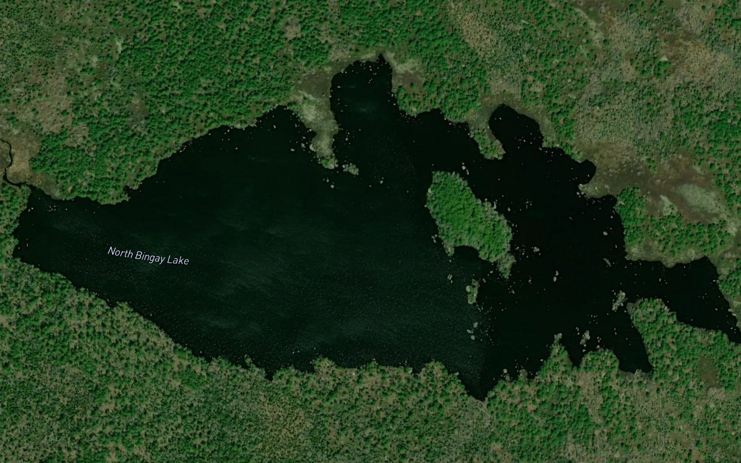 North Bingay Lake