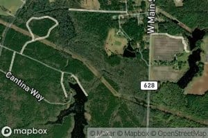 Wildcat Swamp