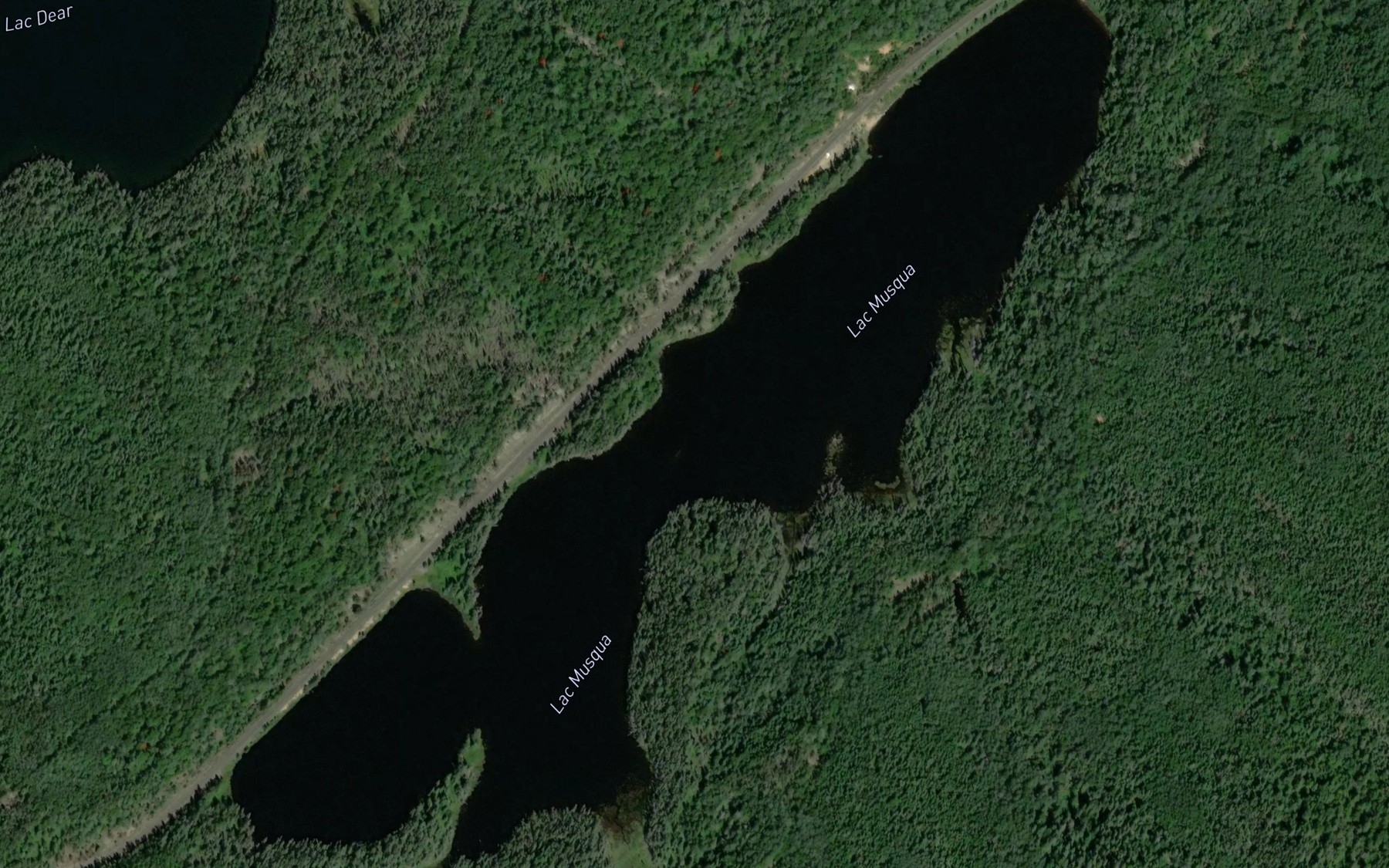 Satellite map of the Lac Musqua