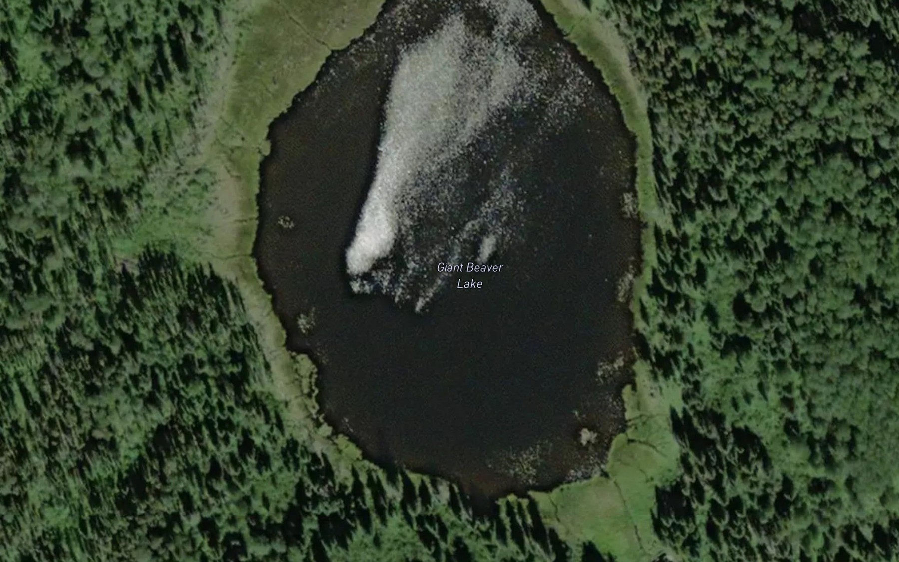 Satellite map of the Giant Beaver Lake