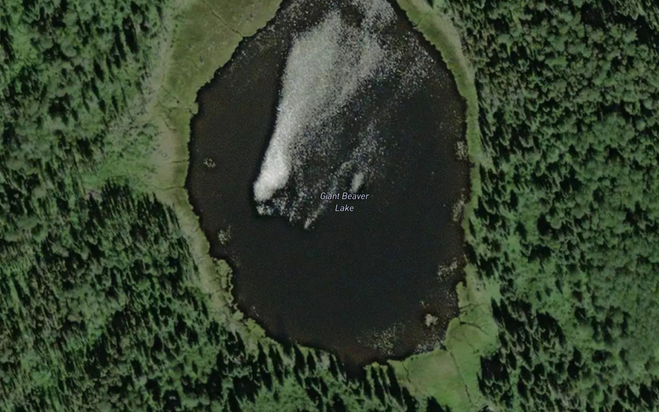 Giant Beaver Lake