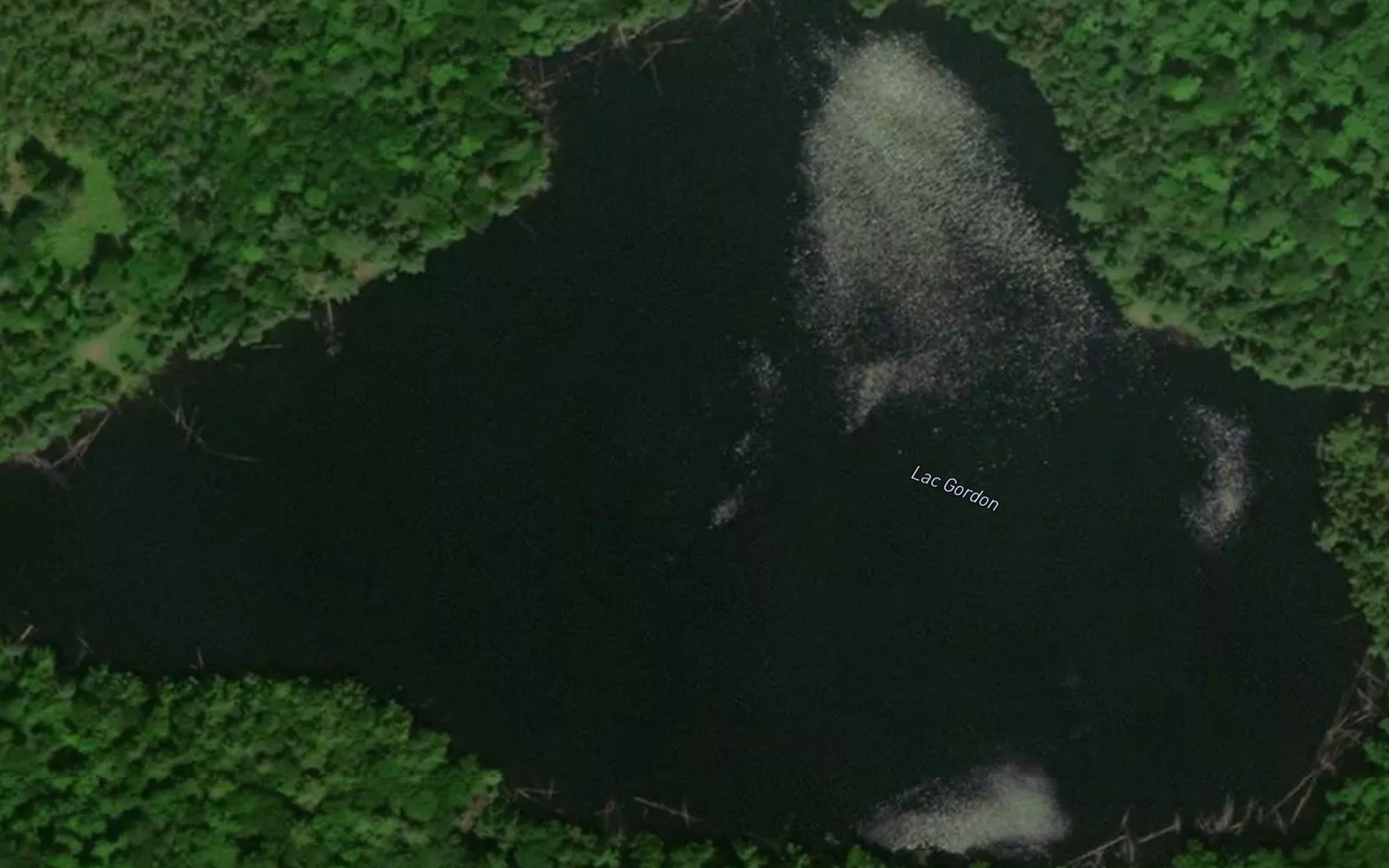 Lac Gordon