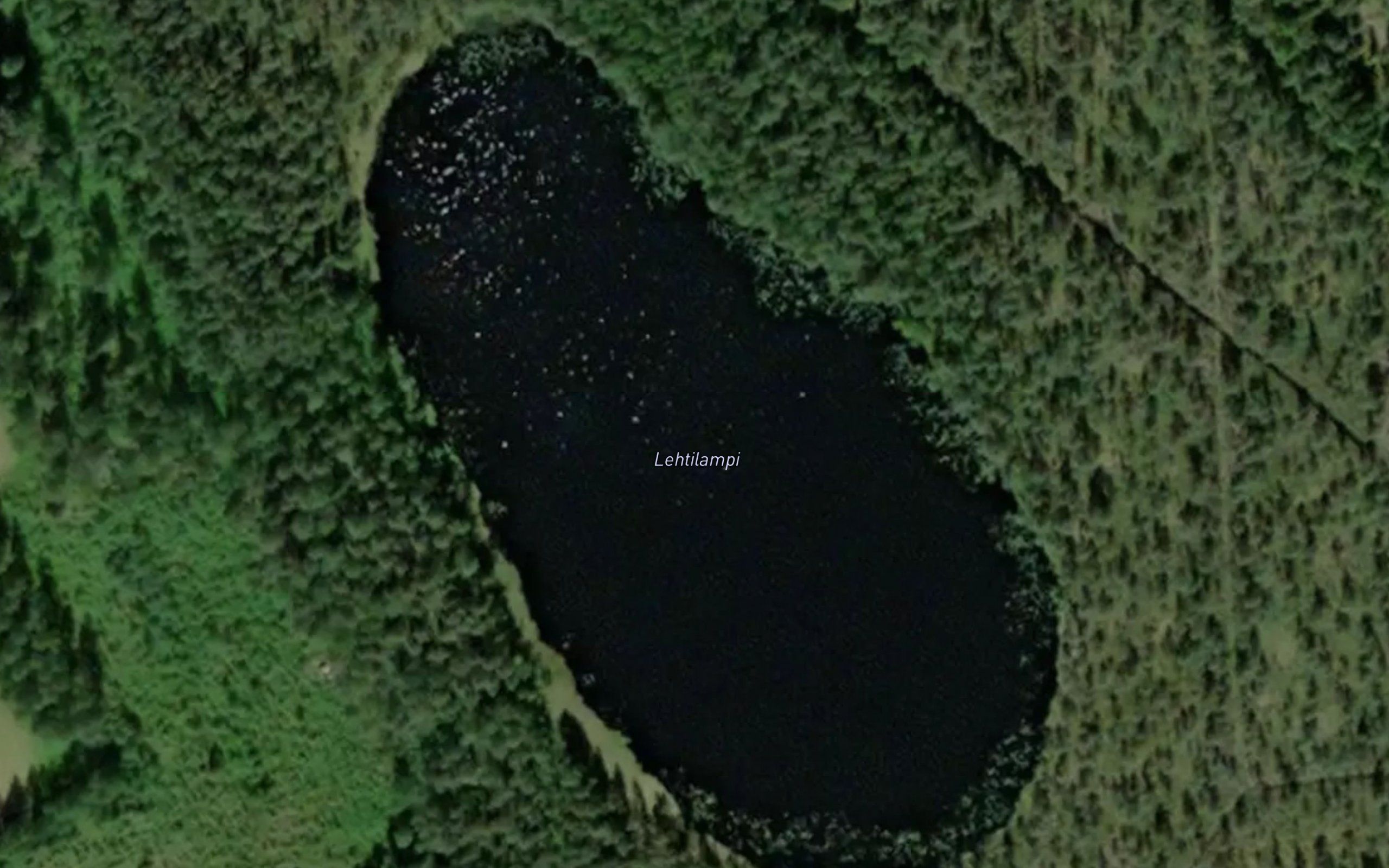 Lehtilampi