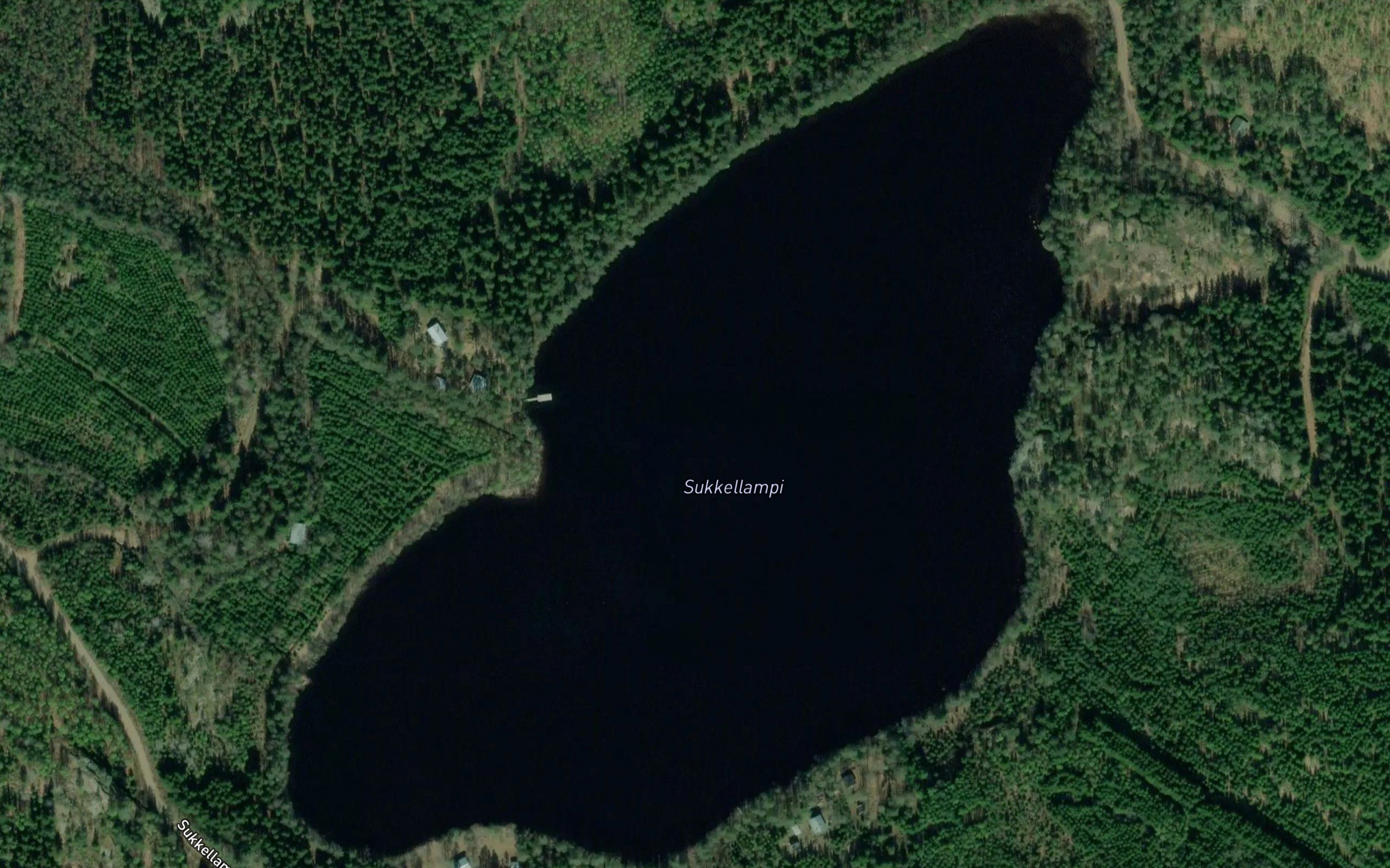 Sukkellampi
