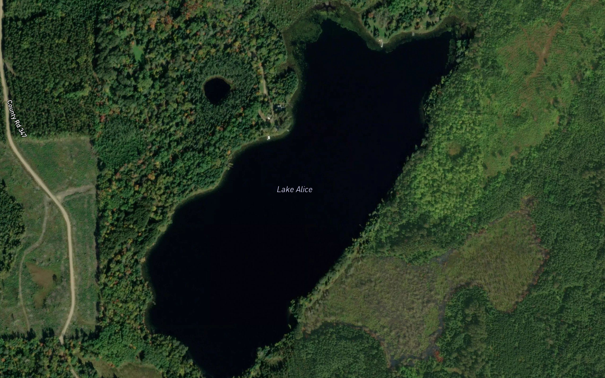 Lake Alice
