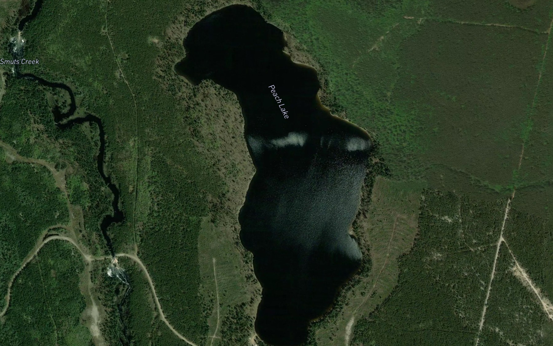 Satellite map of the Peach Lake