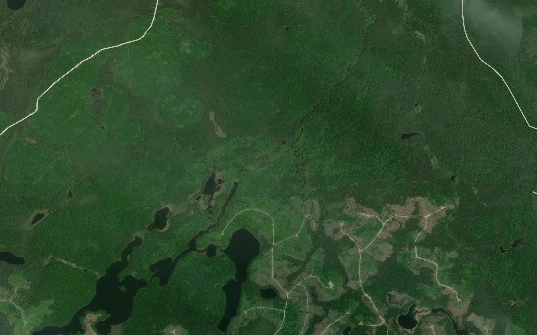 Satellite map of the Dana Creek