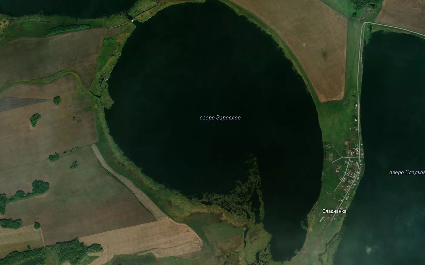 Satellite map of the Ozero Zarosloye
