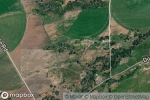 Duncan Edelman Ditch