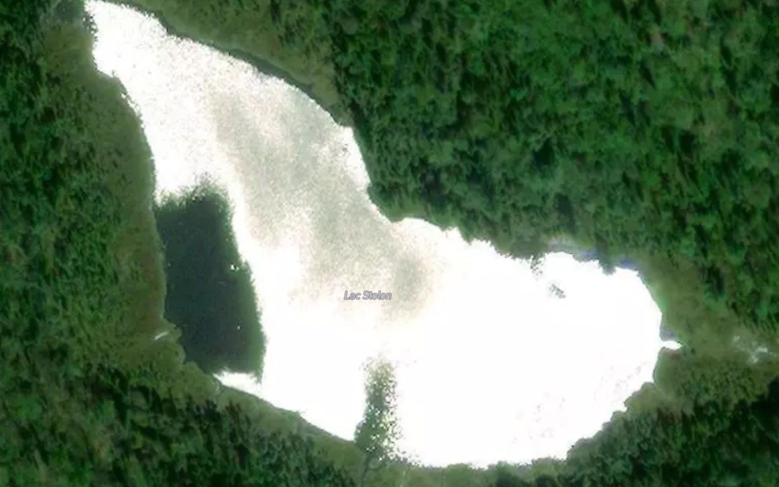 Lac Stolon