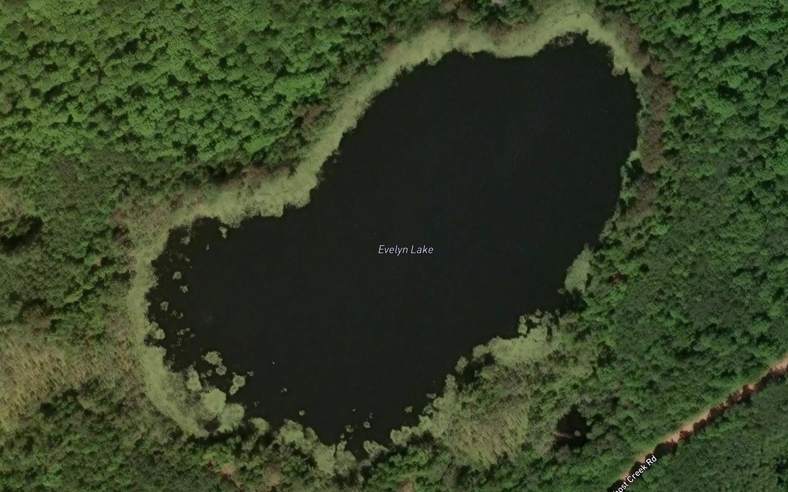 Evelyn Lake