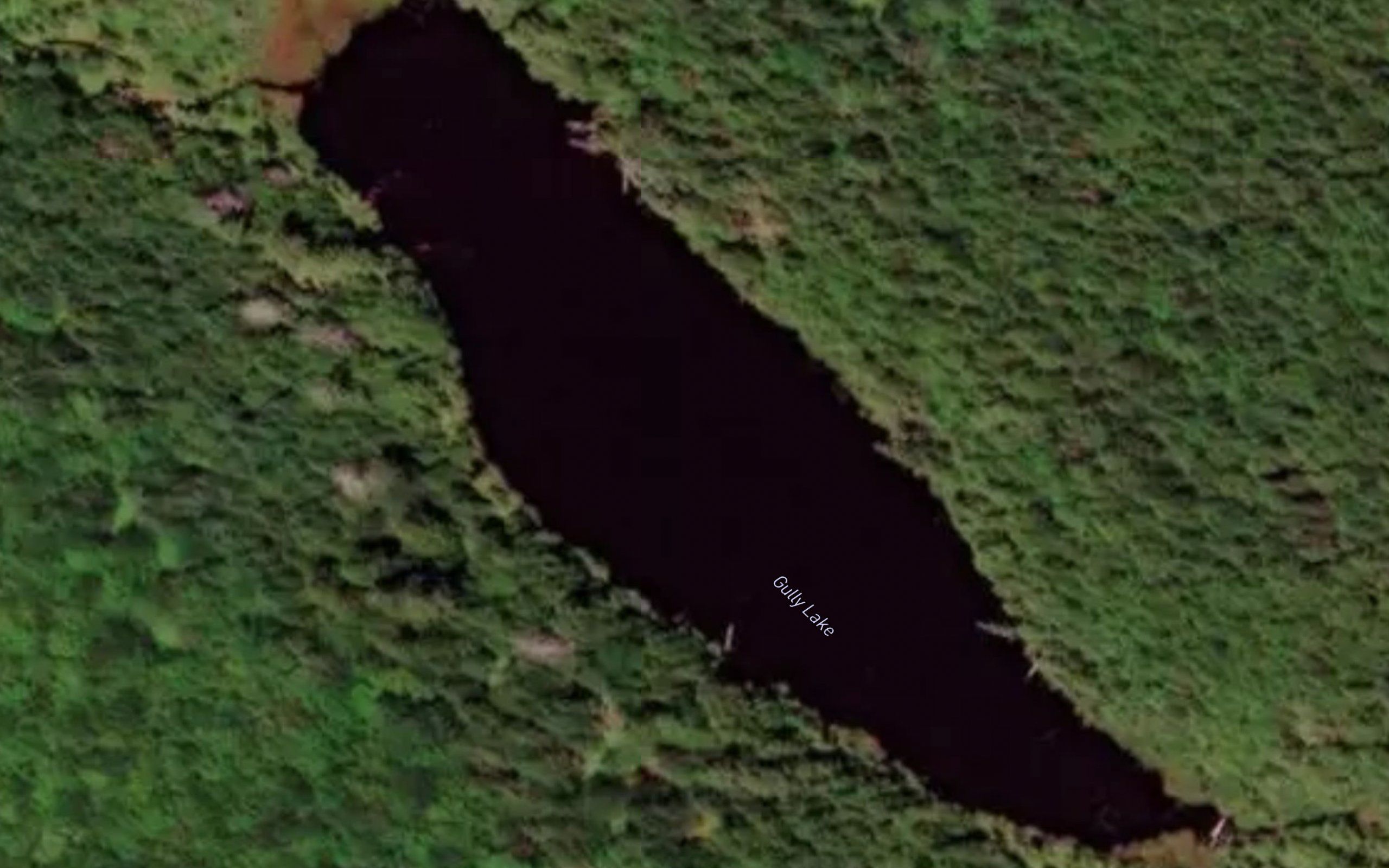 Gully Lake