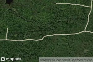 South Branch Brayley Brook