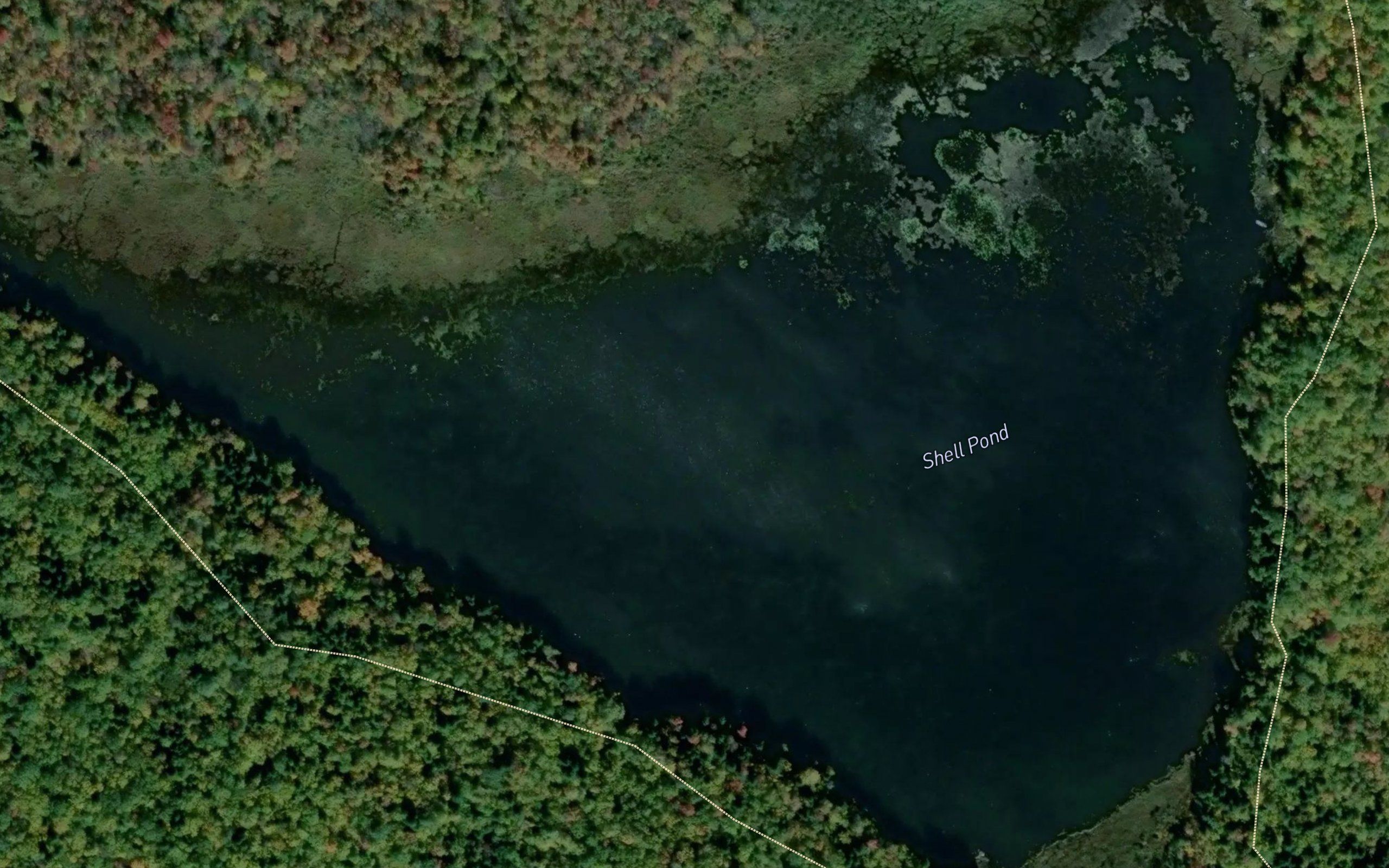 Shell Pond
