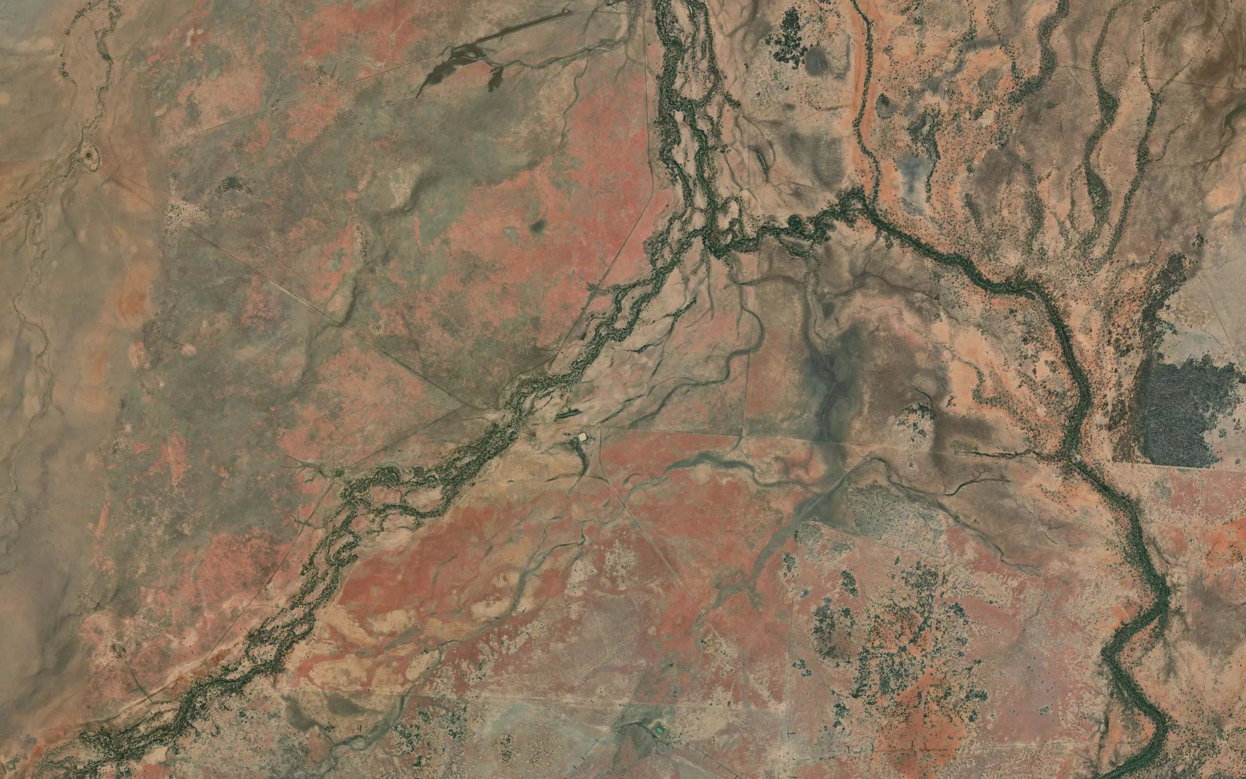Cattle Creek