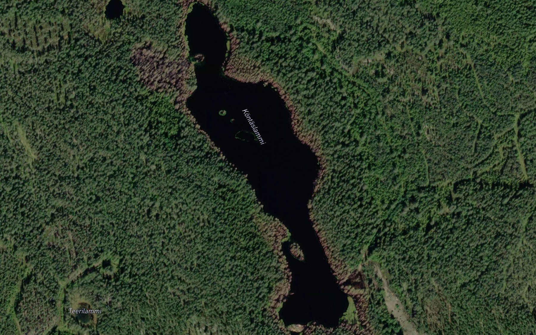 Satellite map of the Kontaslammi