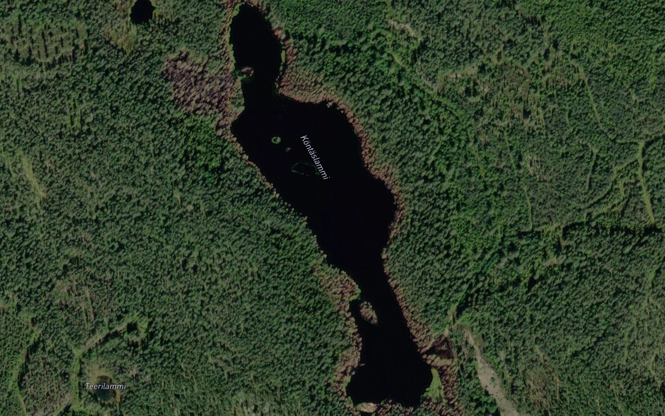 Kontaslammi