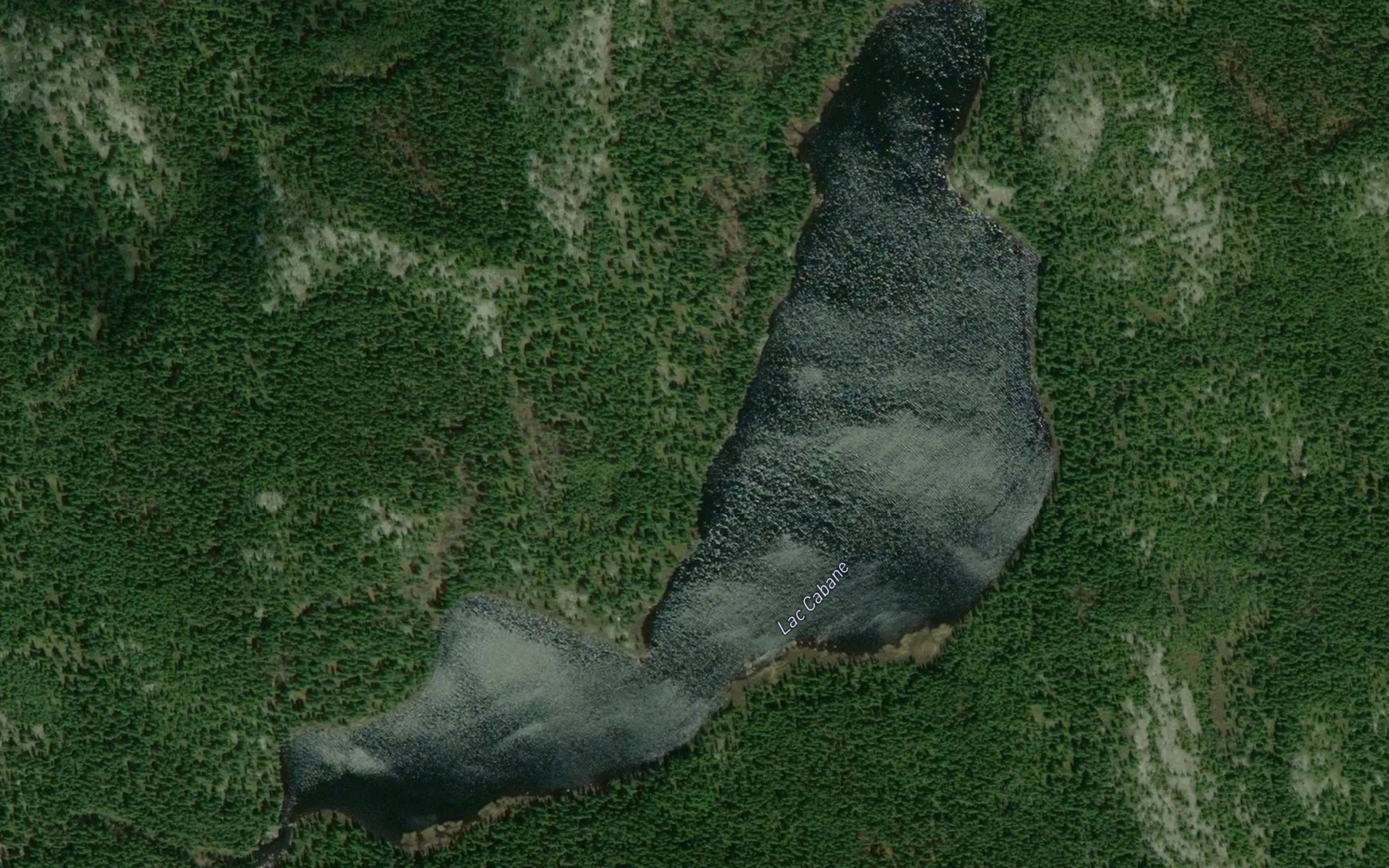 Satellite map of the Lac Cabane