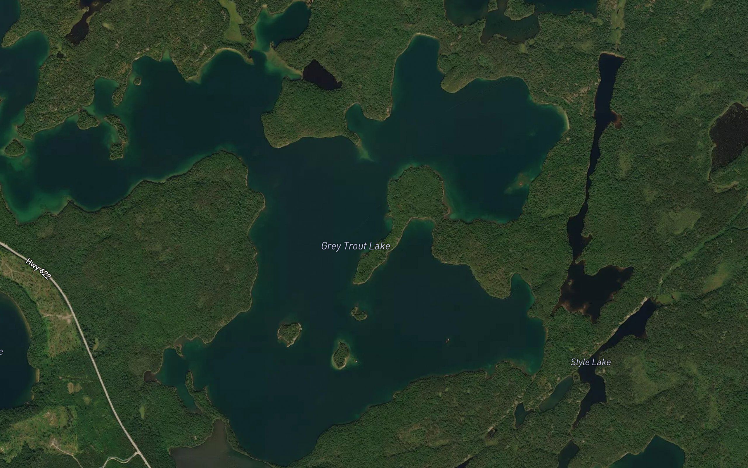 Grey Trout Lake