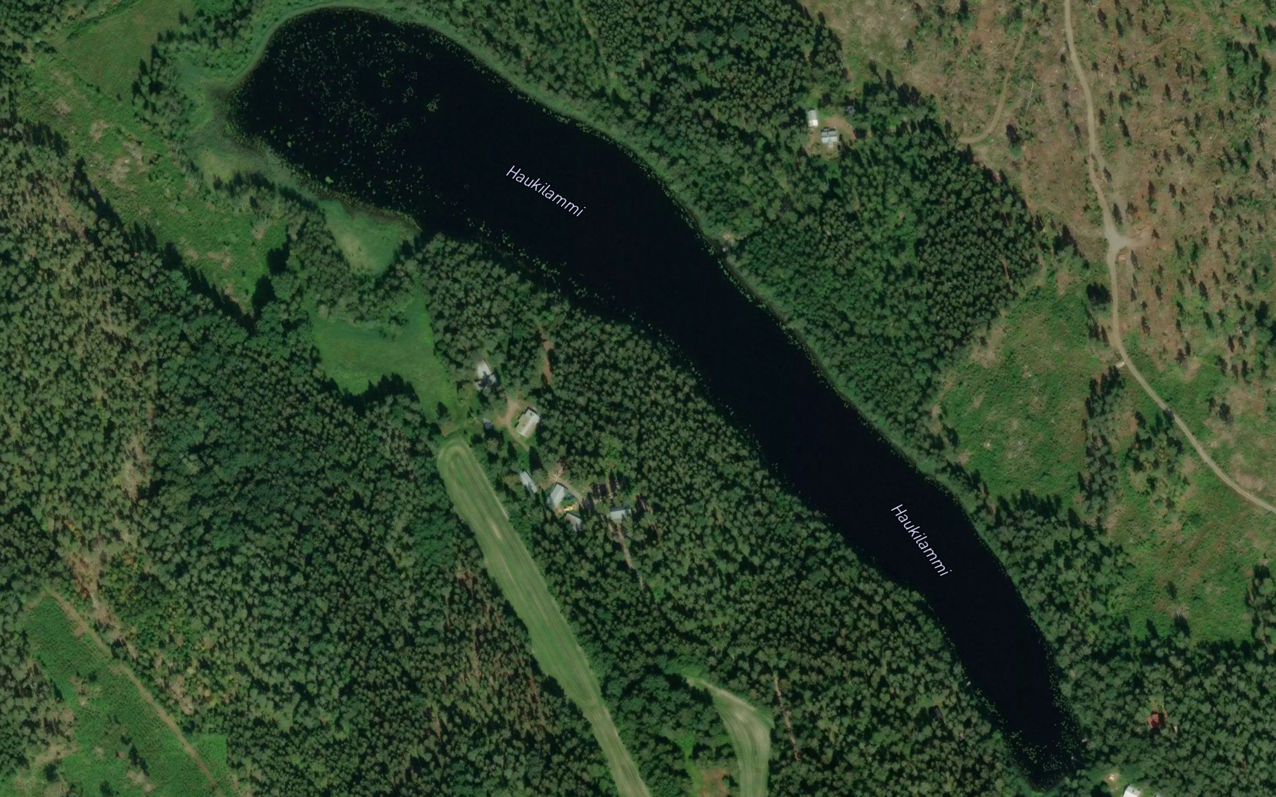 Haukilammi