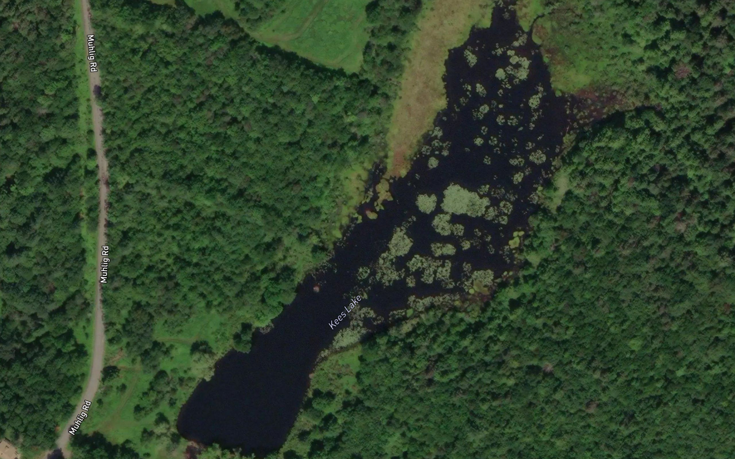 Kees Lake