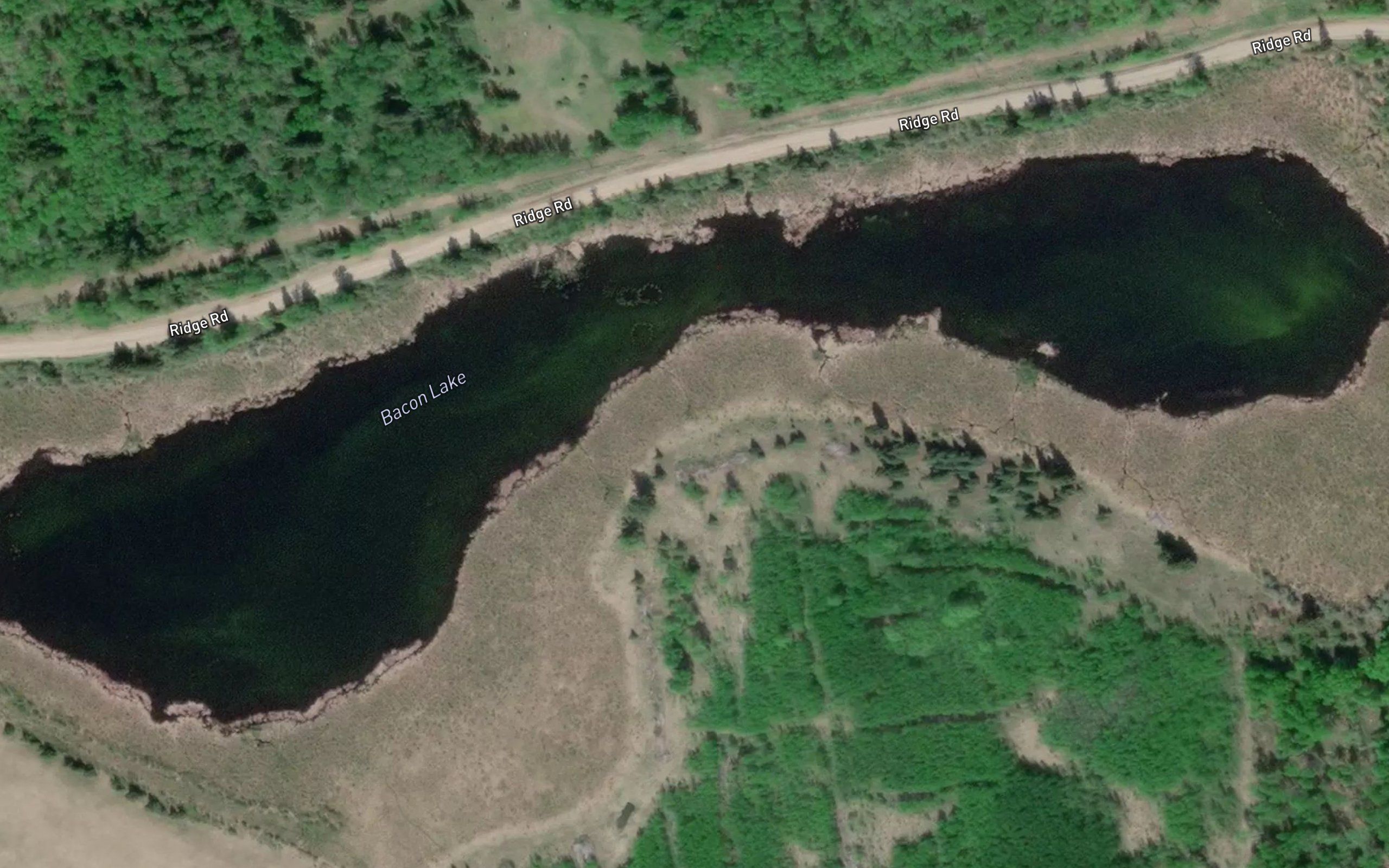 Bacon Lake