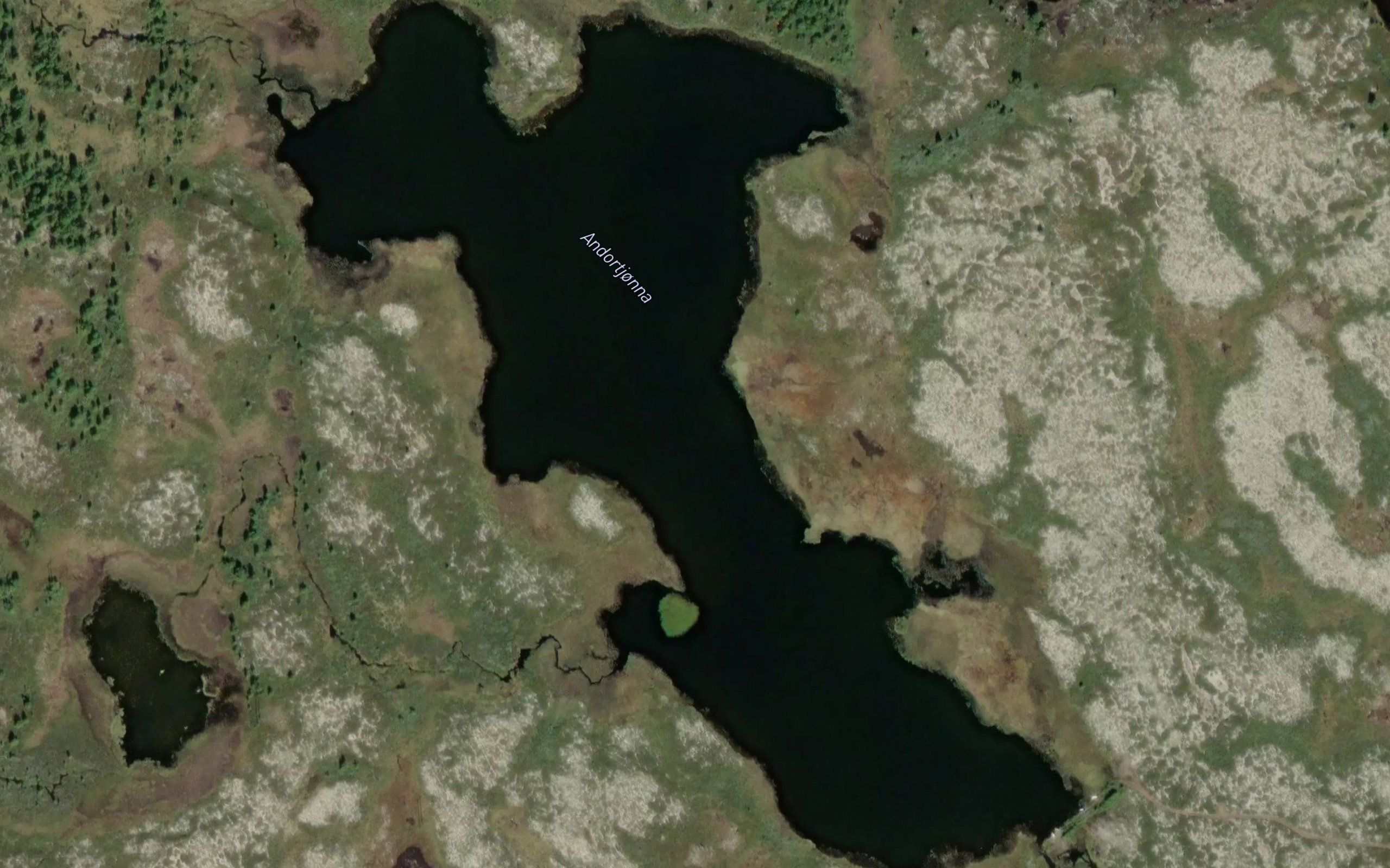 Andortjonna