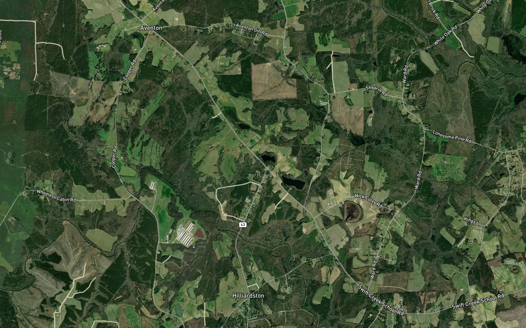Satellite map of the Ricks Pond