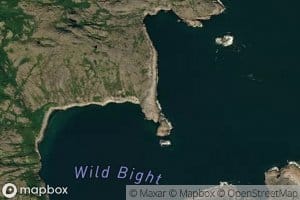 Wild Bight