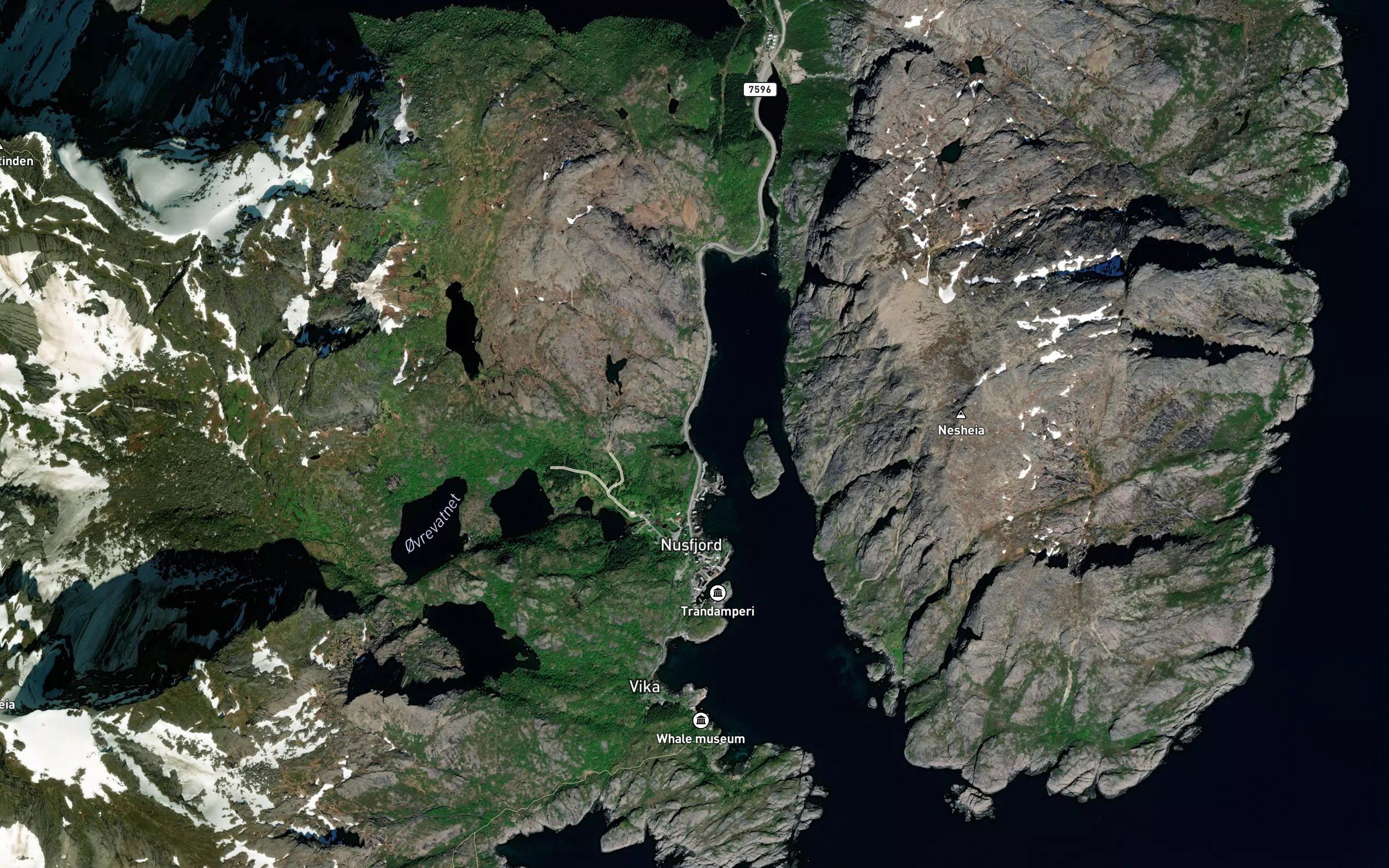 Skamkraa