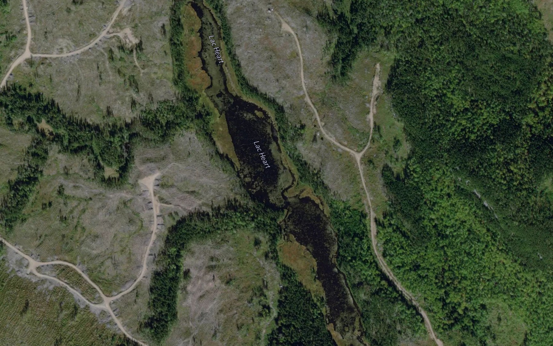Satellite map of the Lac Heart