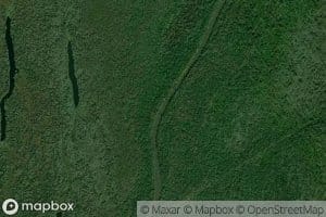 Four Hundred Dollar Bayou