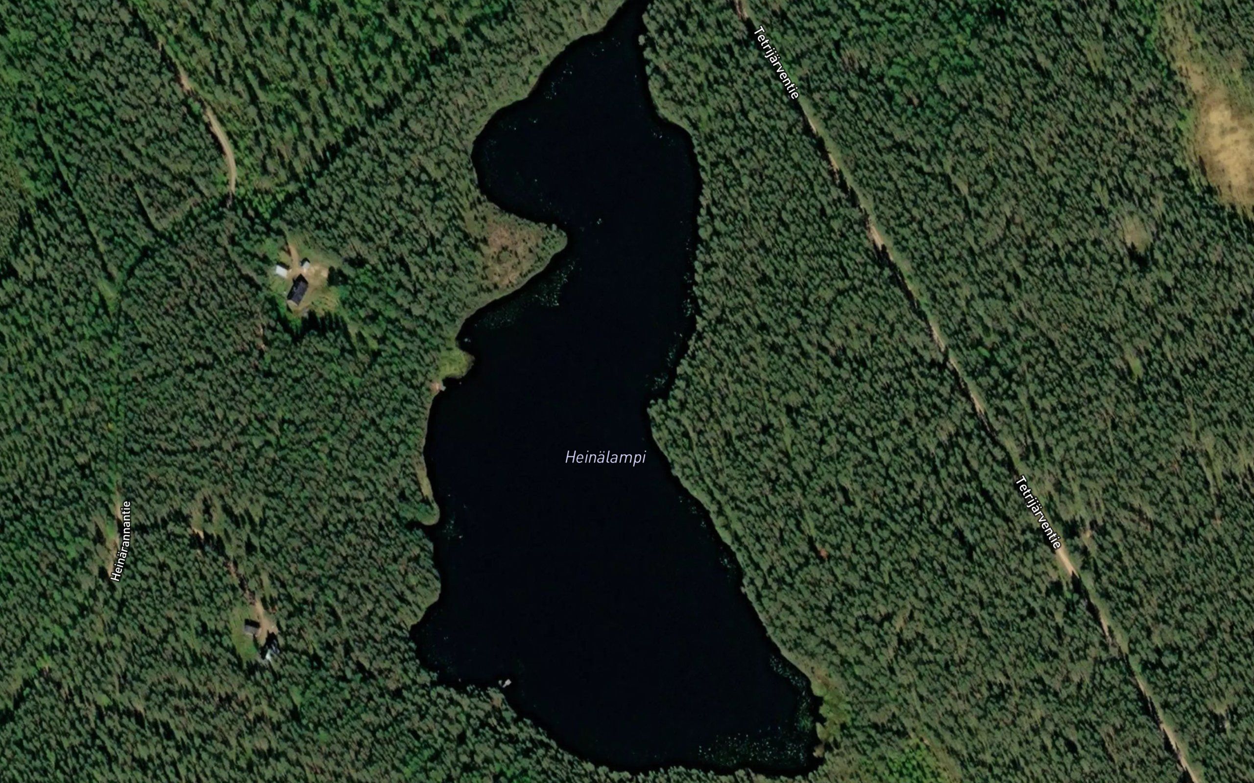Heinalampi