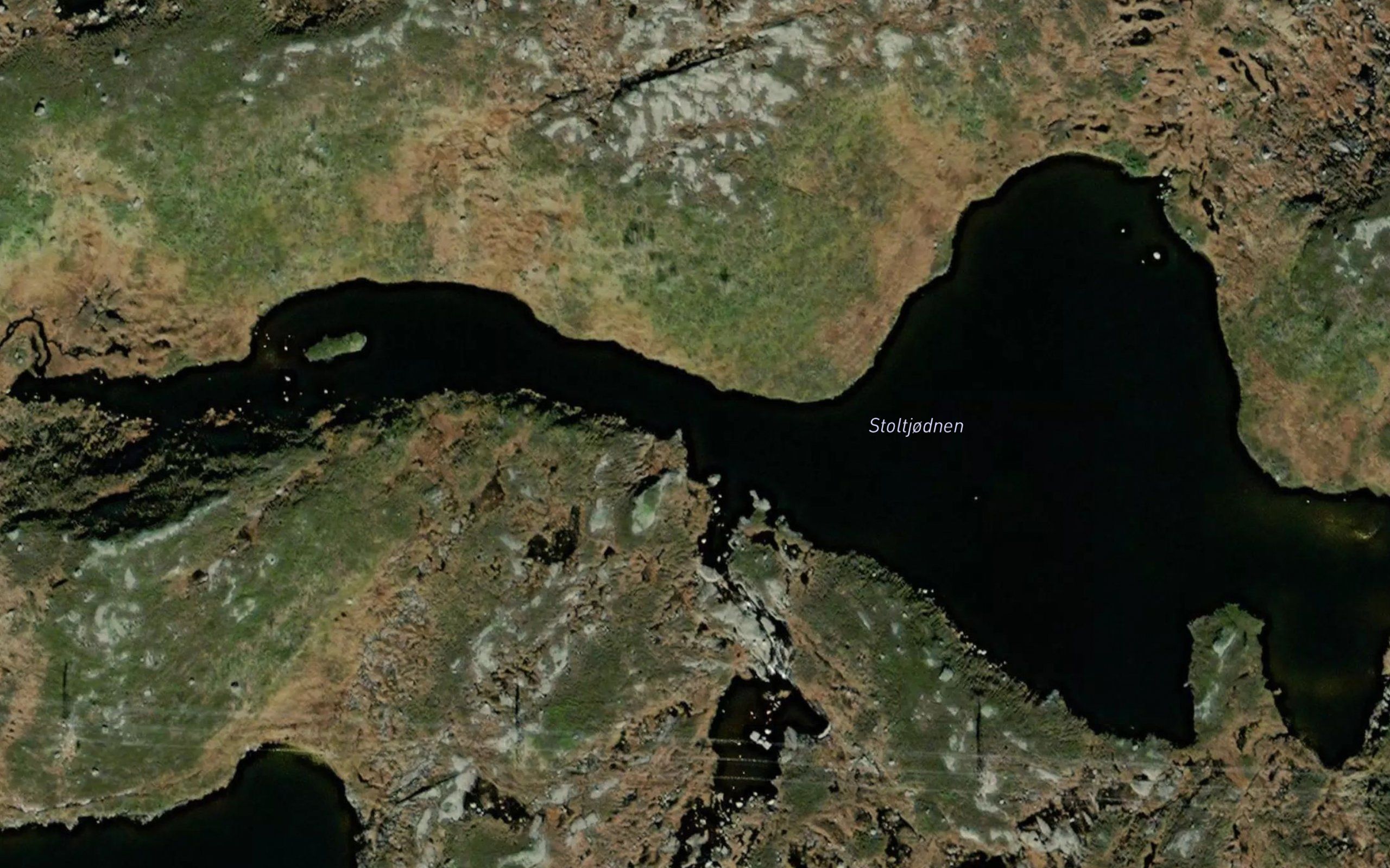 Stoltjodnen