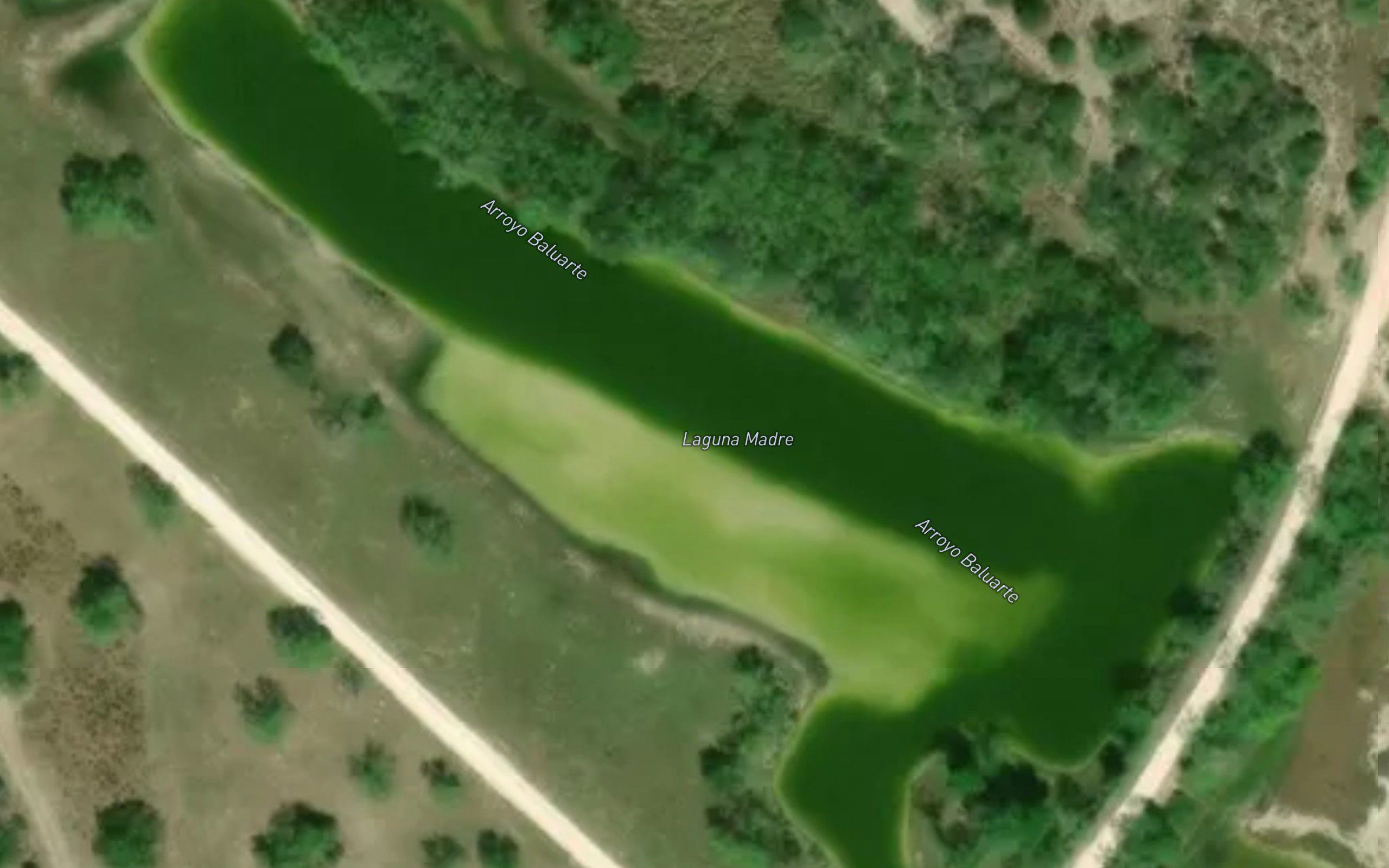 Laguna Madre