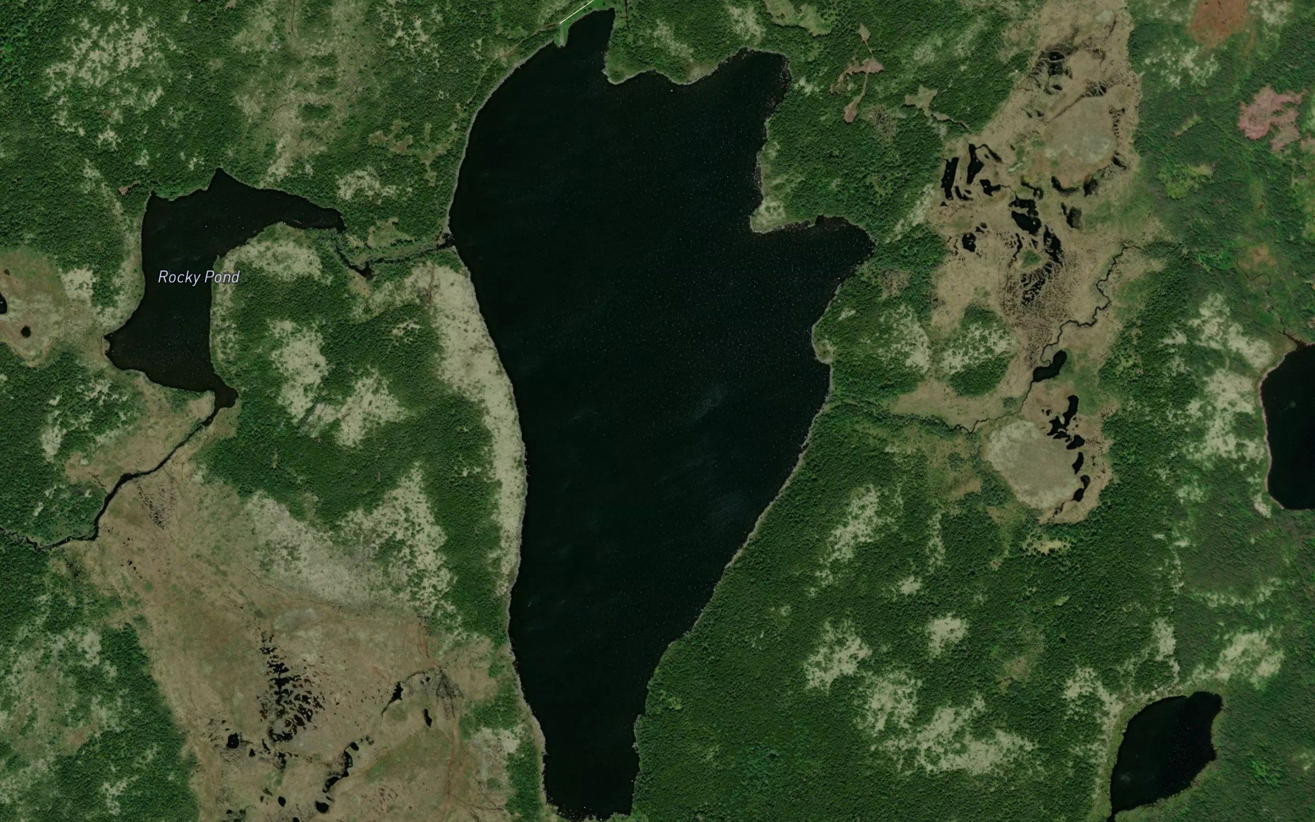 Eastern Pond