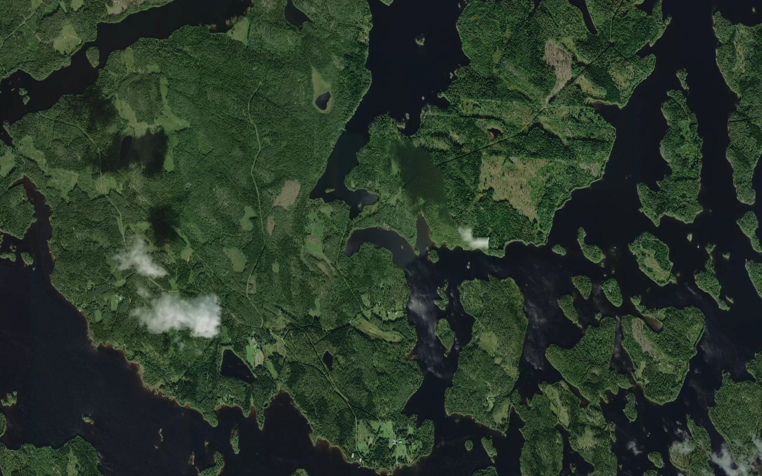 Pirtinlahti