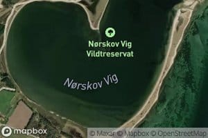 Norskov Vig