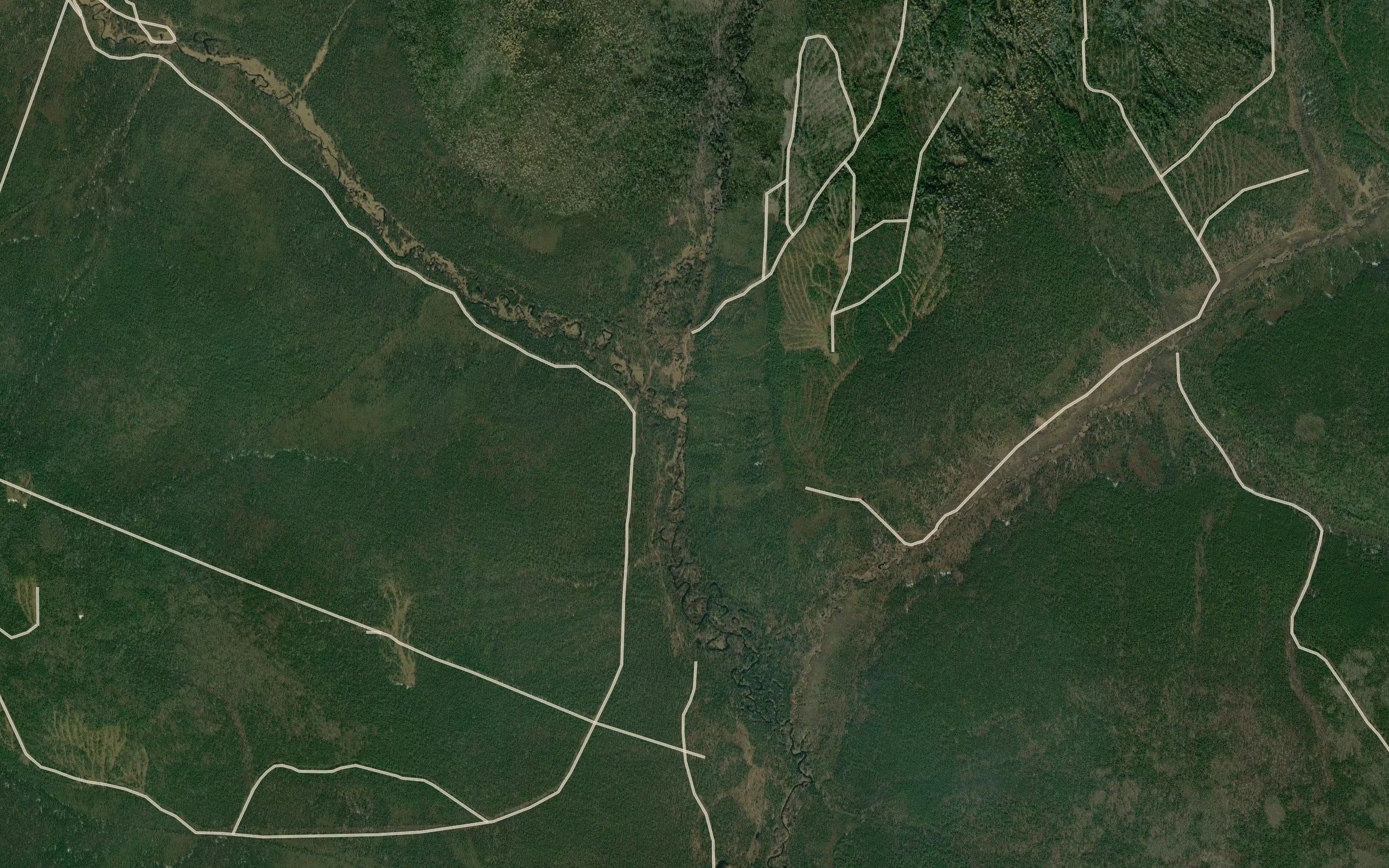 Yakovlevich