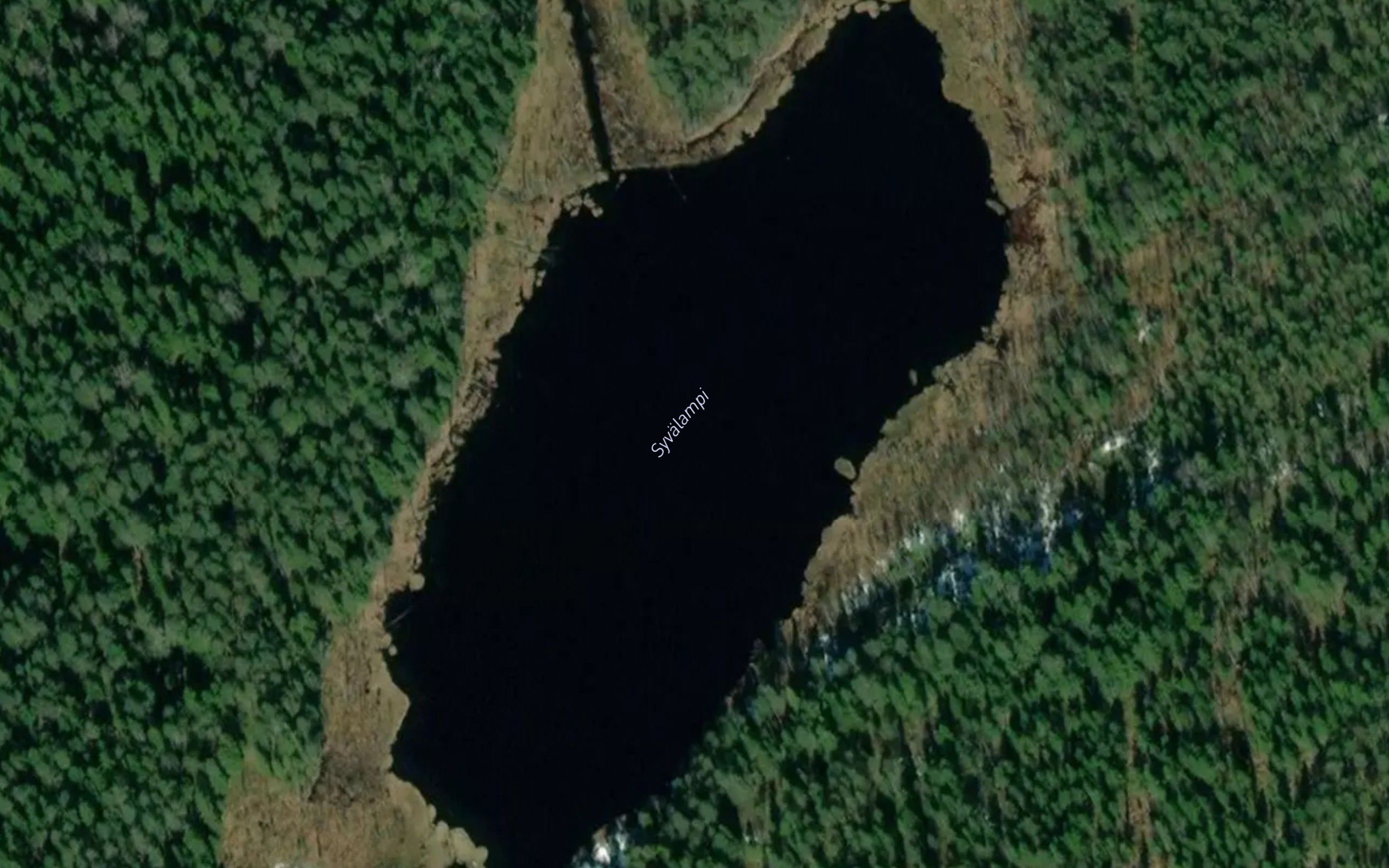 Syvalampi