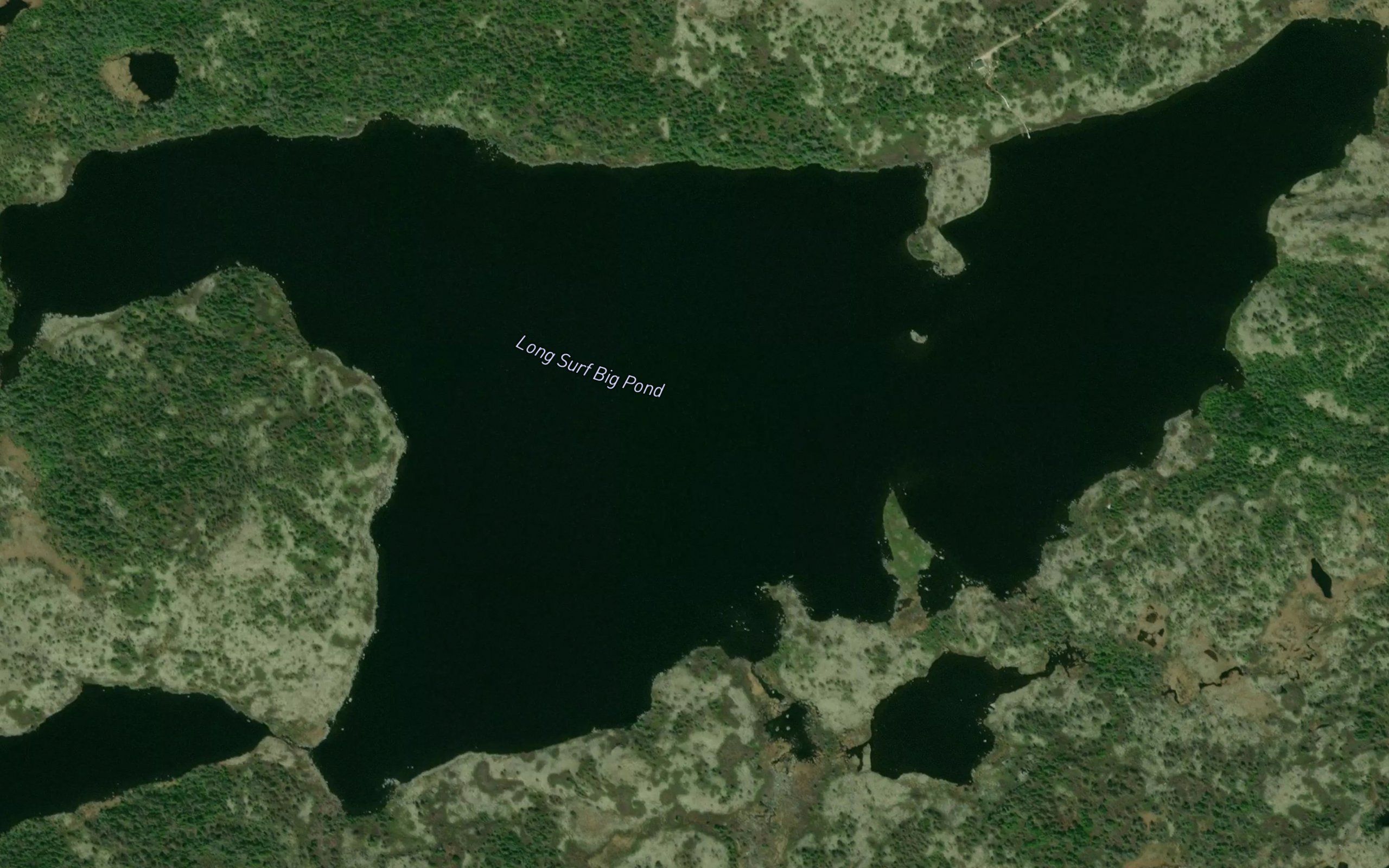 Long Surf Big Pond
